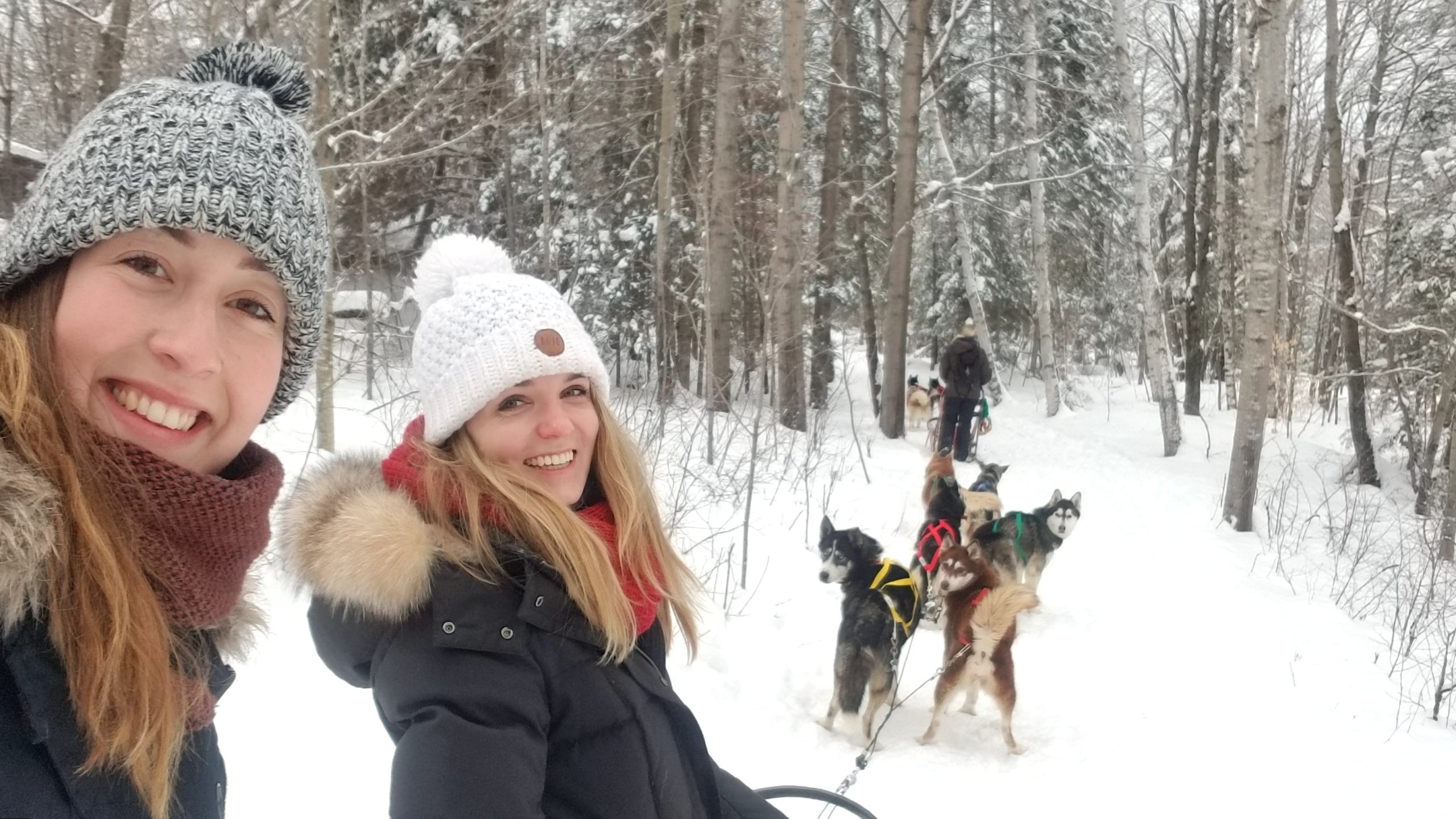 Canada Dog Sledding